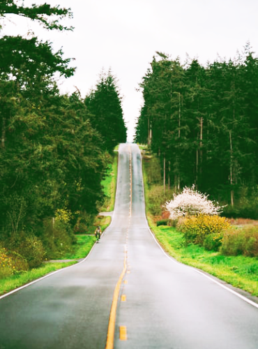 Homepage Routes1
